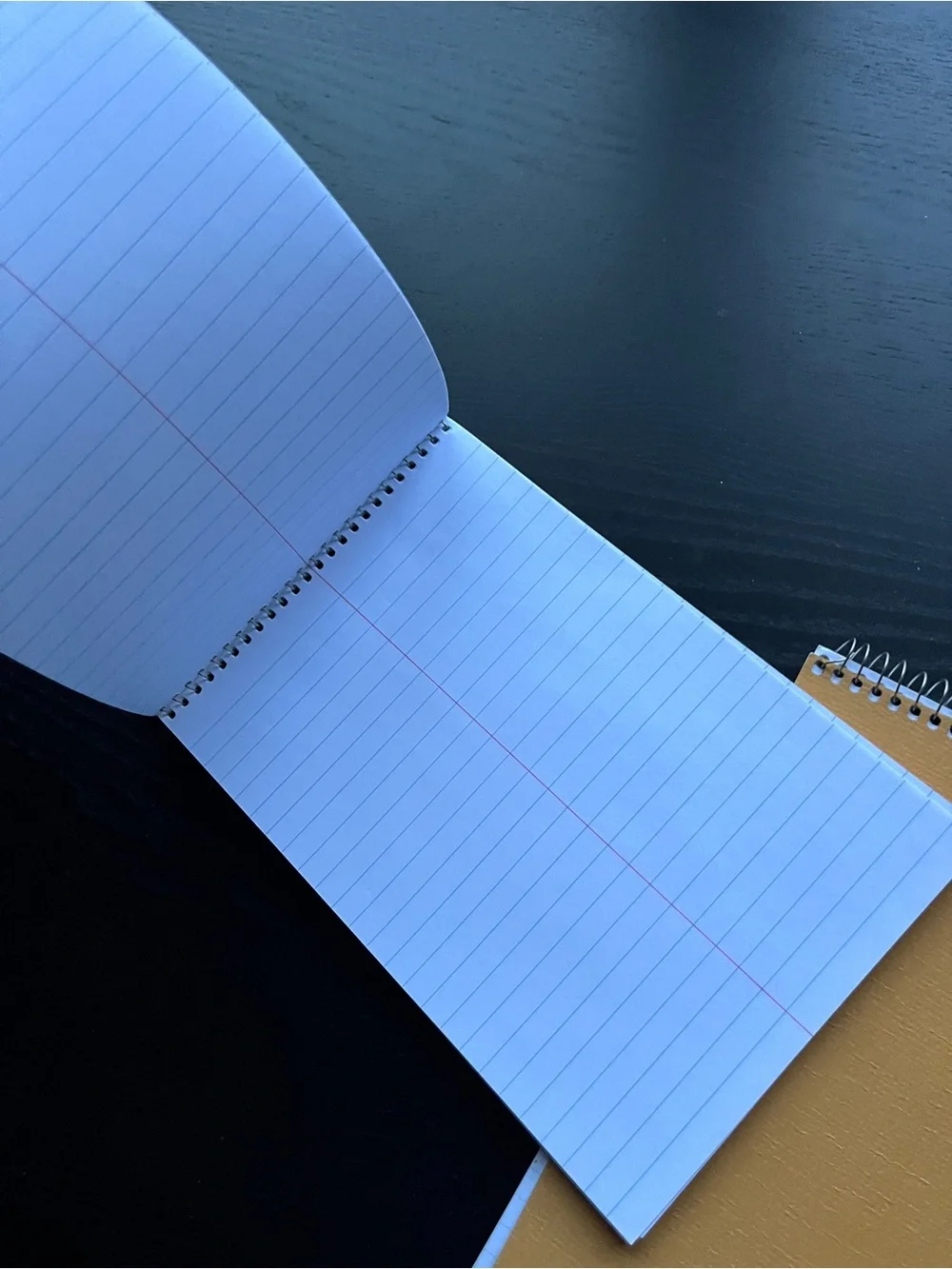 Staples Kraft Steno Book Spiral Memo Pad 6x9 Blue Ruled Gregg Line Notepad 2PK